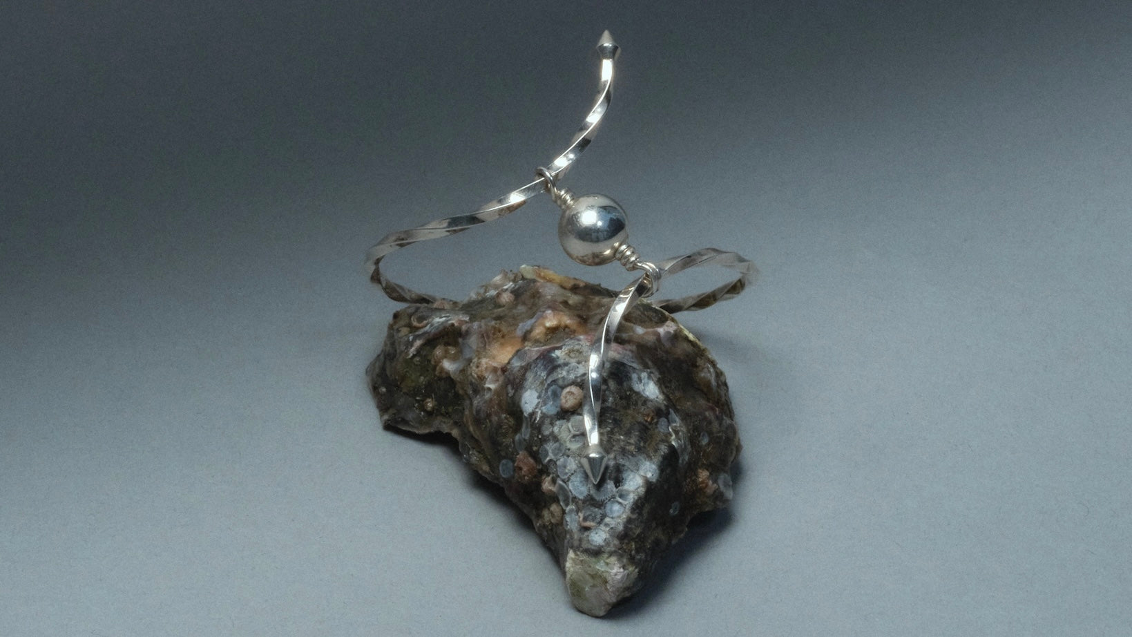 The Oyster | Poem