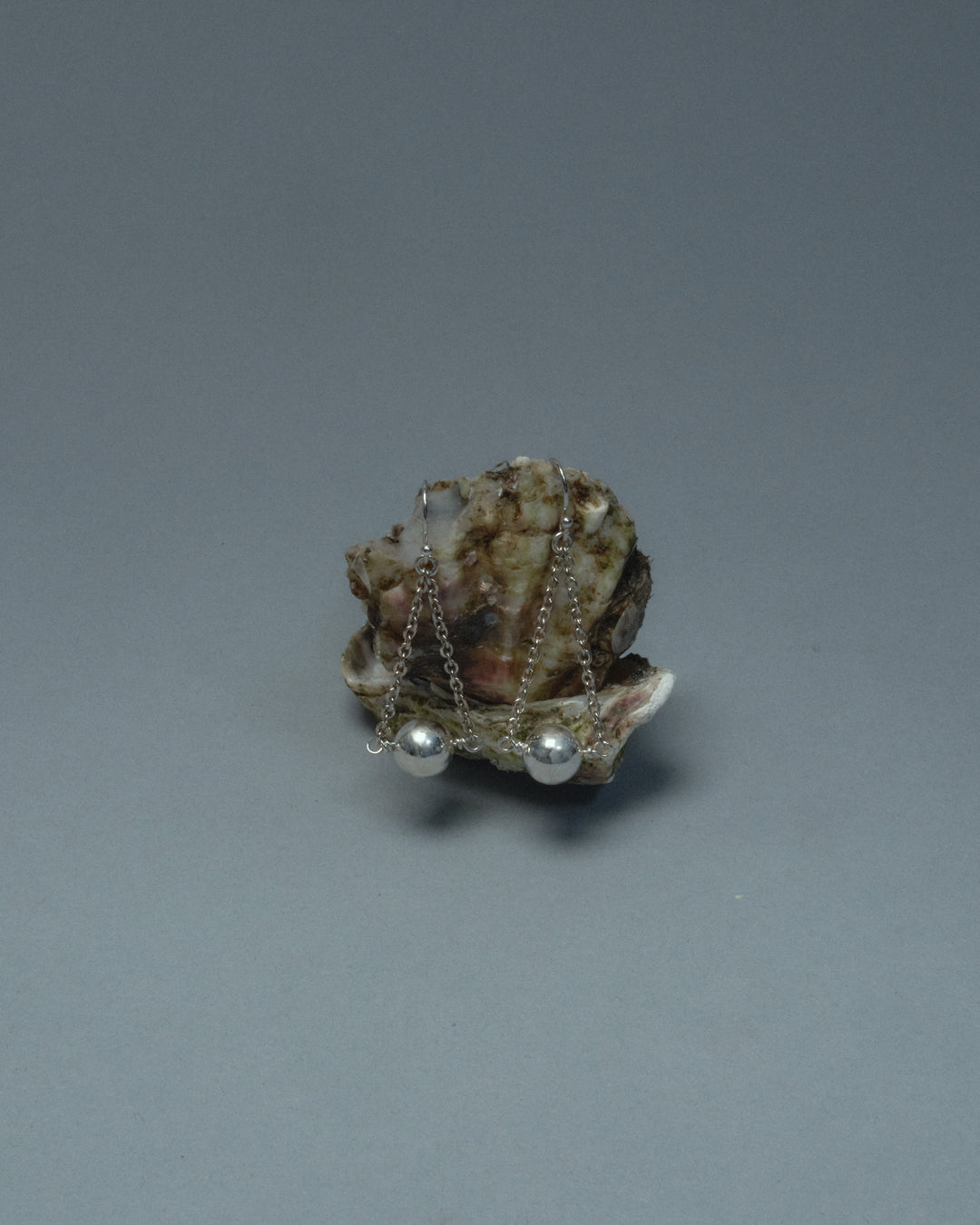 Sterling Silver Earrings on a Small shell sculpture with chain and spherical beads. Artful, Artistic, contemporary photography