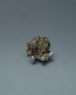 Load image into Gallery viewer, Sterling Silver Earrings on a Small shell sculpture with chain and spherical beads. Artful, Artistic, contemporary photography
