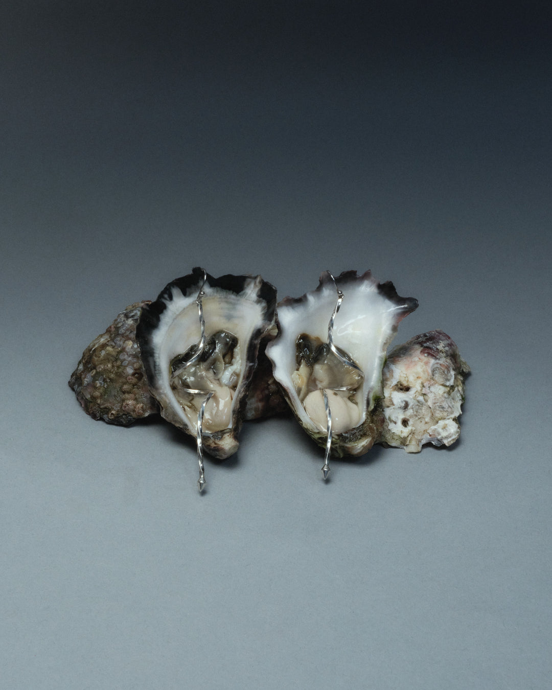 Sterling silver earrings sat on a sculpture made of oysters. Artful artistic photography moodboard