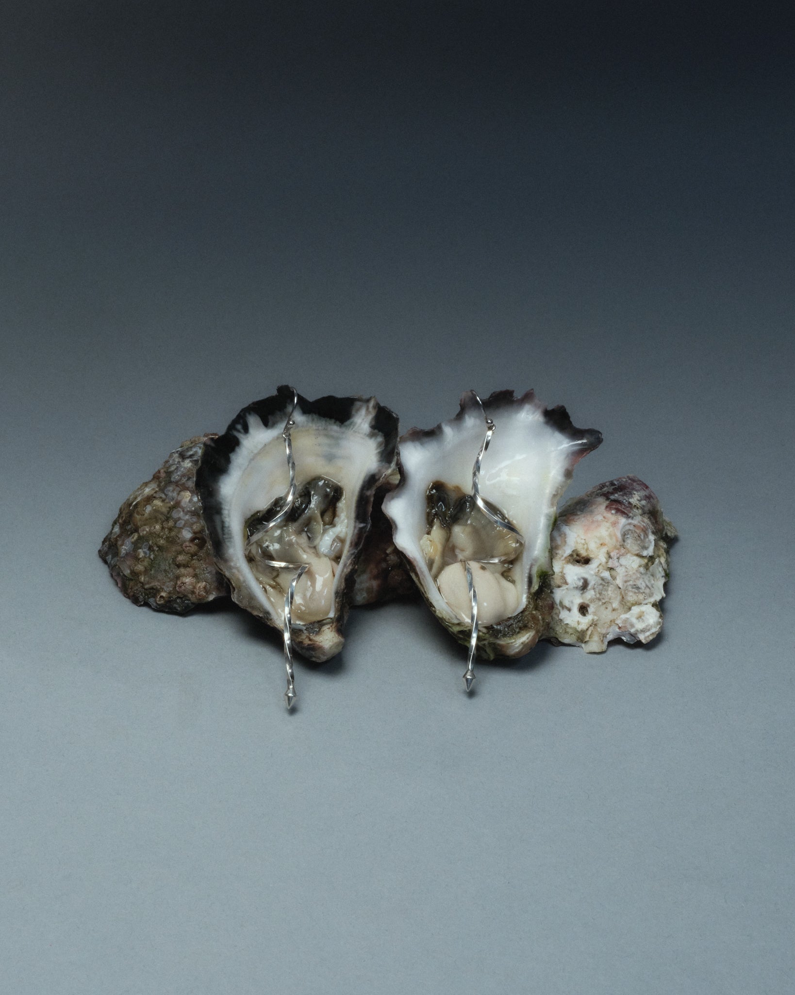 Sterling silver earrings sat on a sculpture made of oysters. Artful artistic photography moodboard