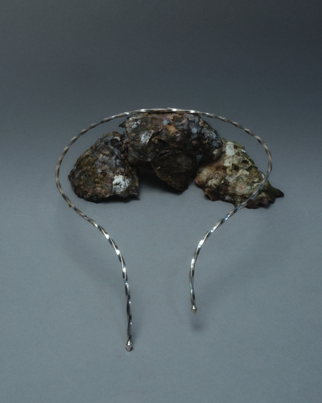 Sterling silver necklet sitting on top of a sculpture made of oysters
