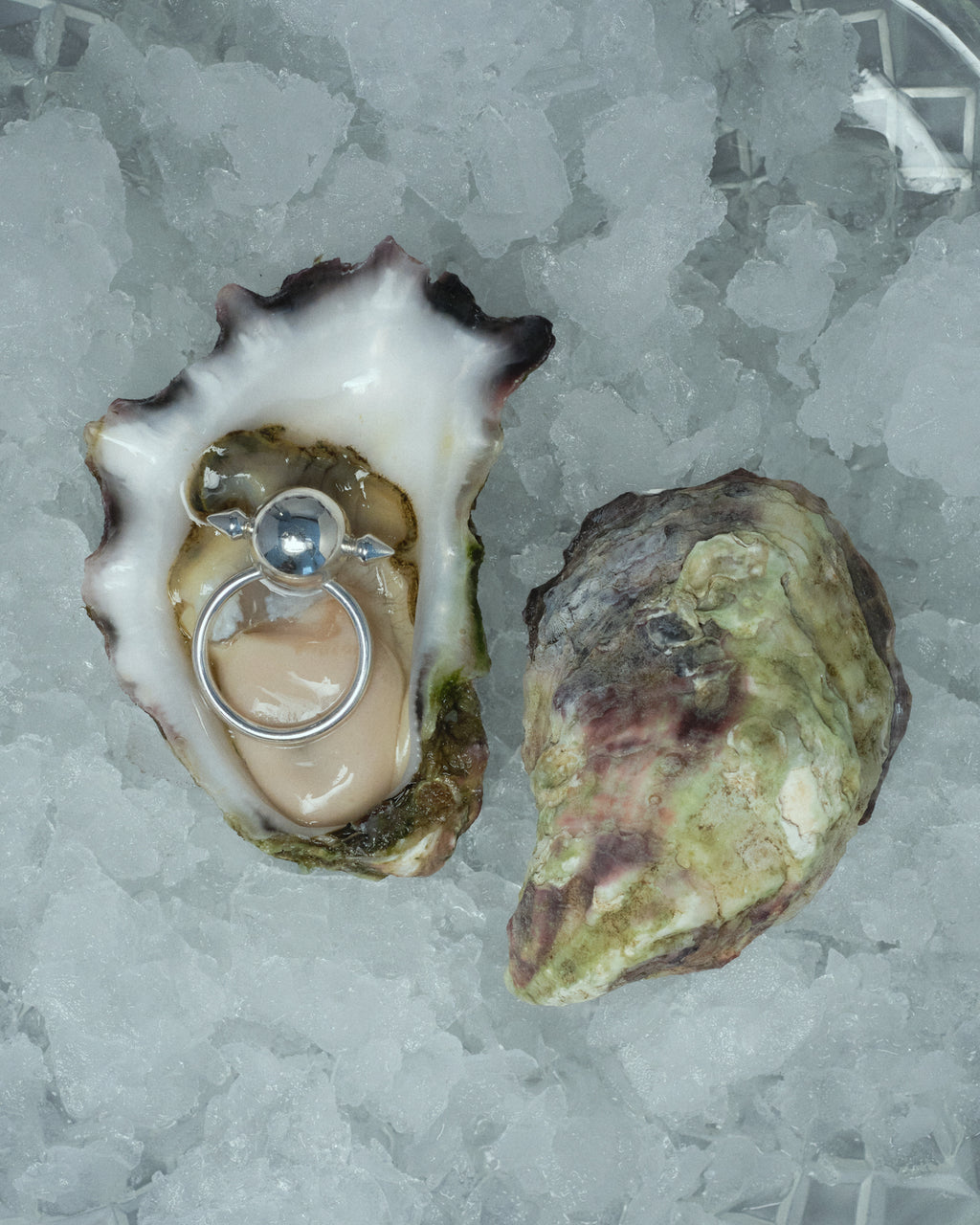 A silver ring inside an oyster on ice. Artful artistic photography mood.