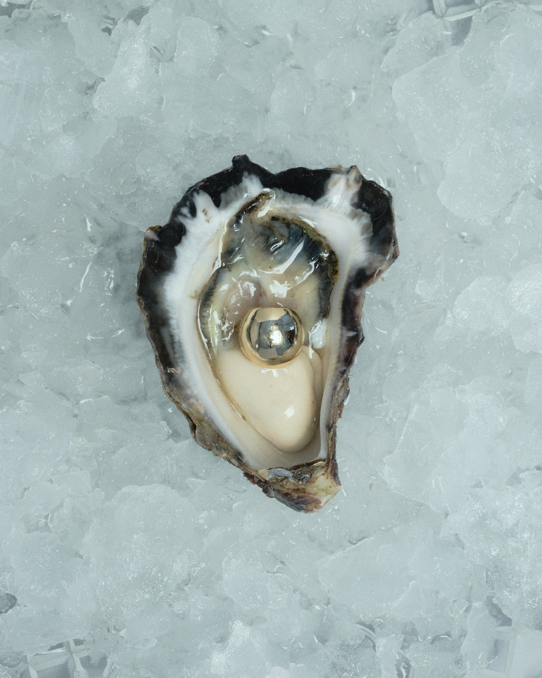 AEJL orb ear cuff placed artfully in an oyster representing a golden pearl.