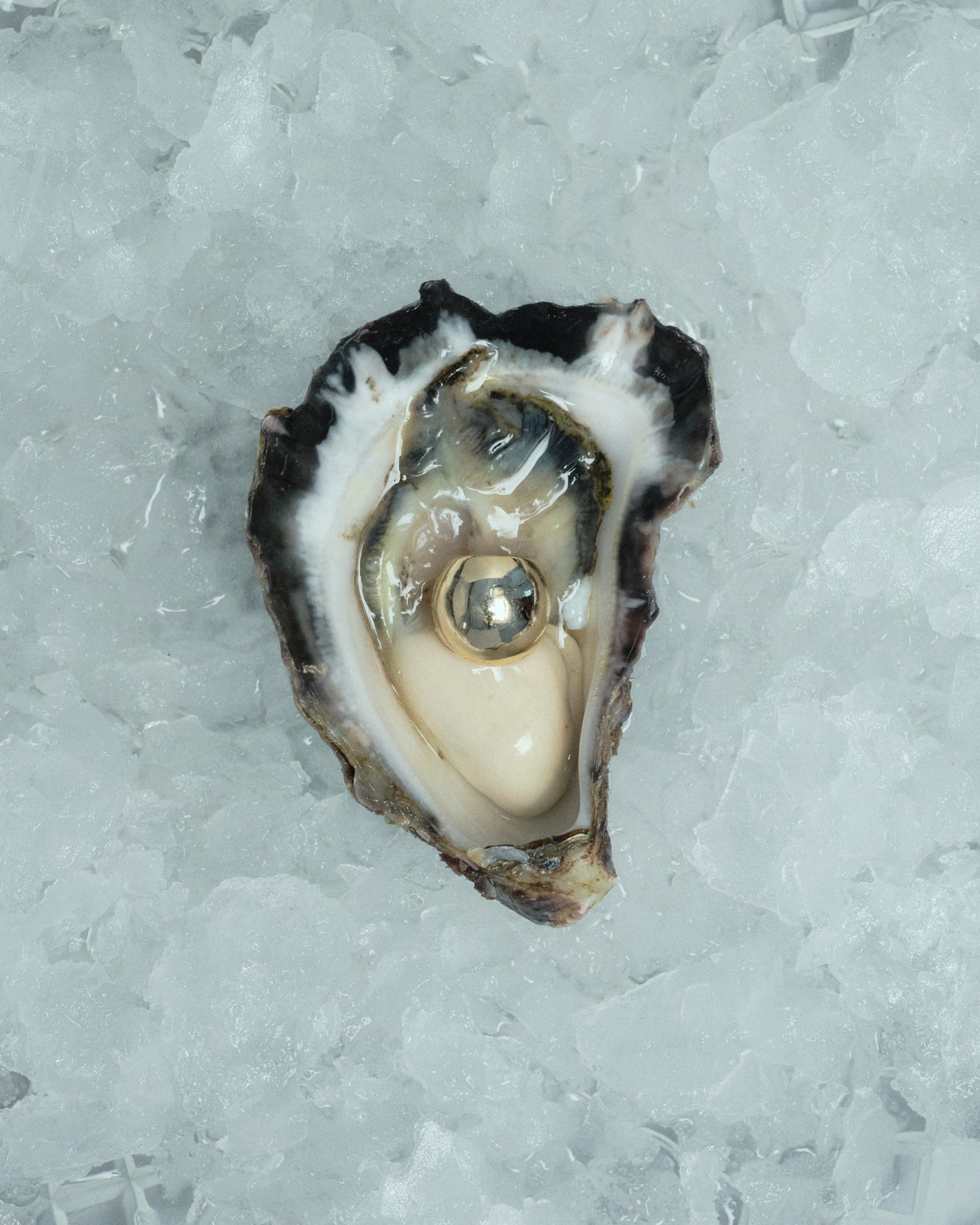 AEJL orb ear cuff placed artfully in an oyster representing a golden pearl.