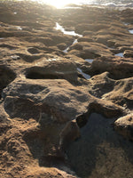 Load image into Gallery viewer, Glimmer Ring Inspiration 
