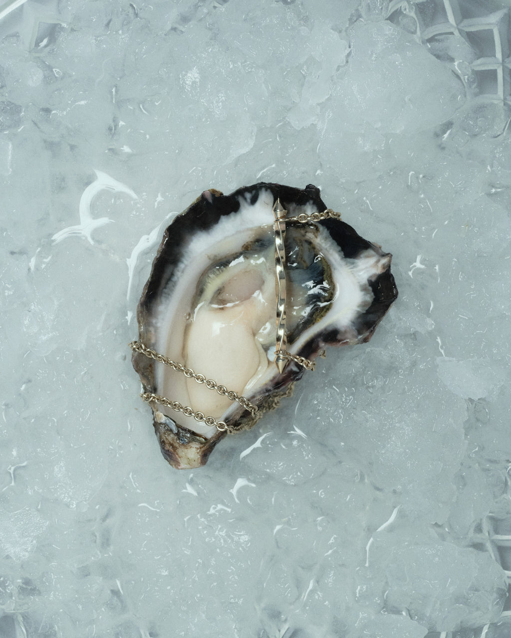 Necklace sitting in an Oyster shell on a ice