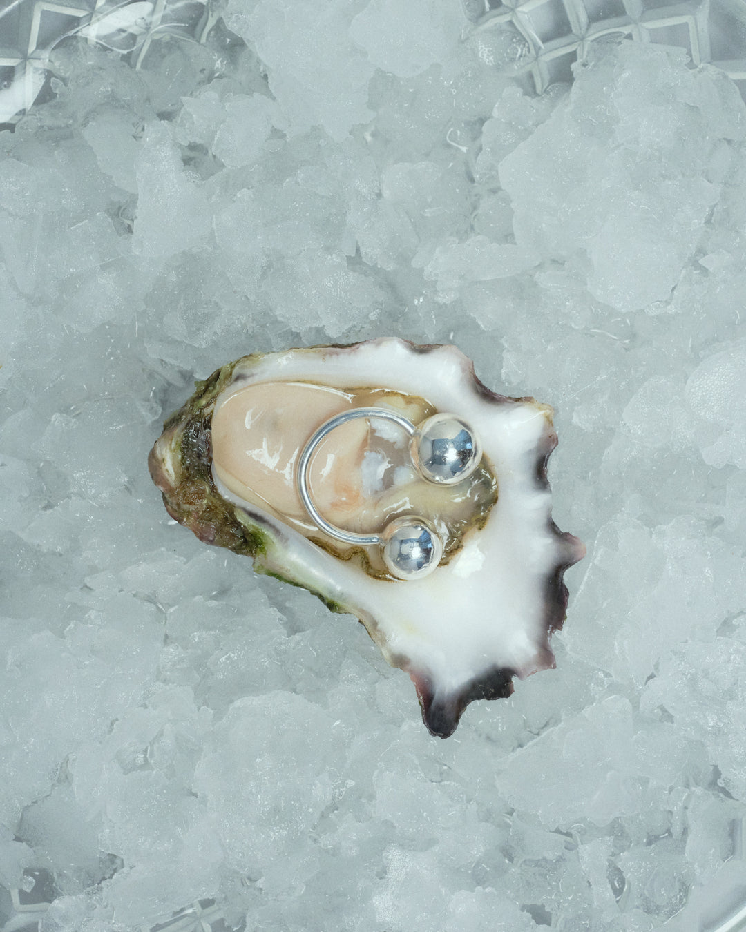 Floating Orbs Ring Oyster Campaign AEJL