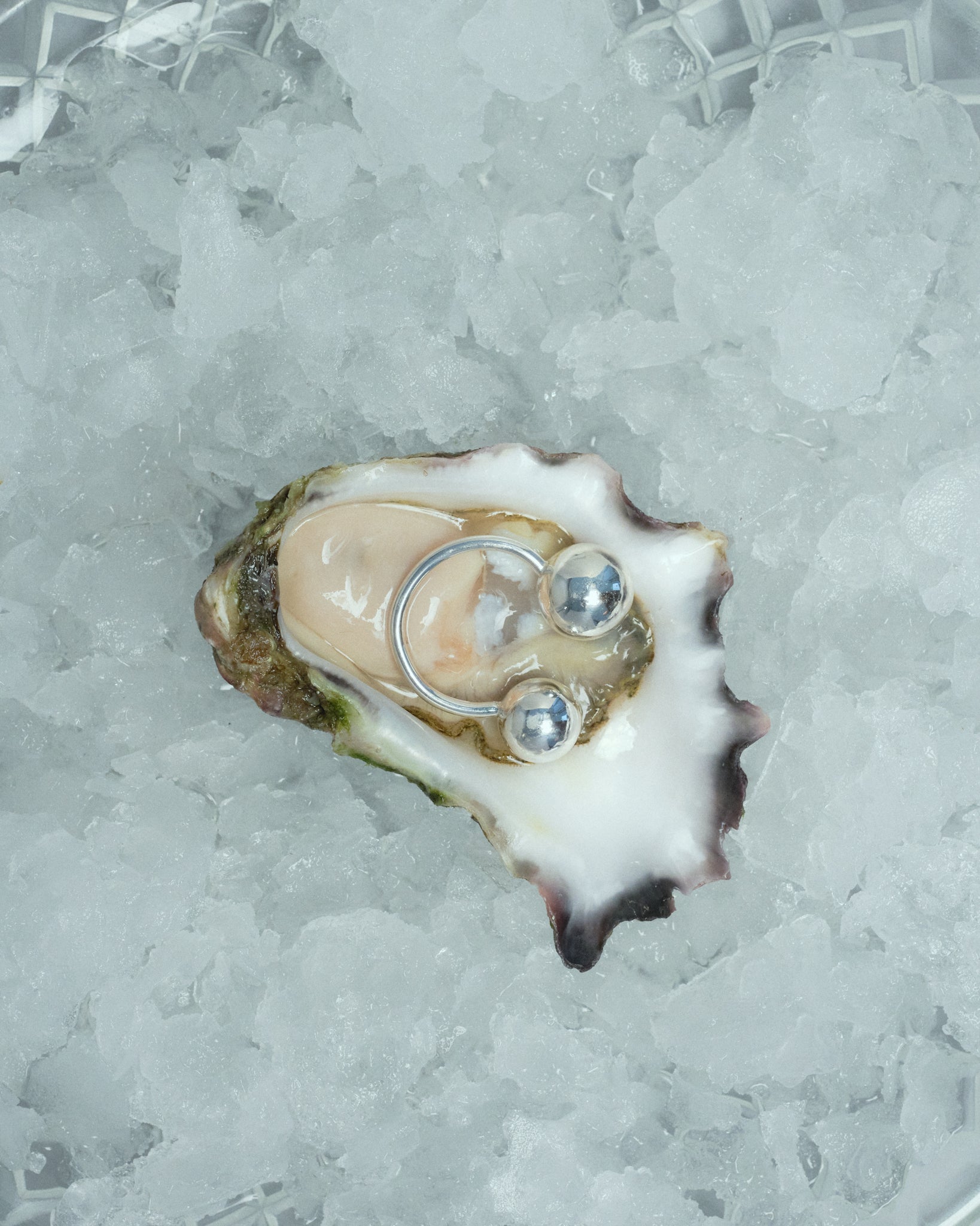Floating Orbs Ring Oyster Campaign AEJL